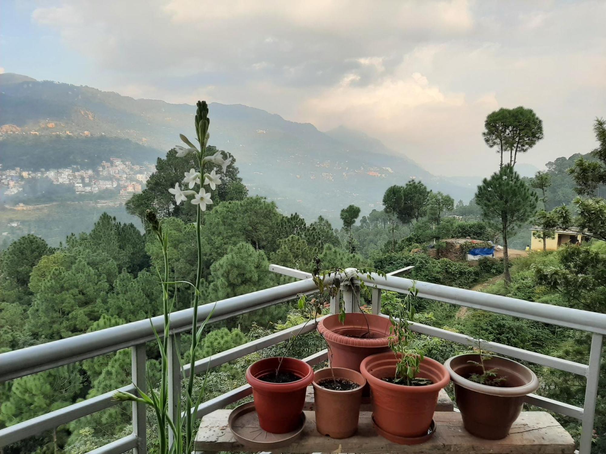 Vista Cottage Solan Buitenkant foto